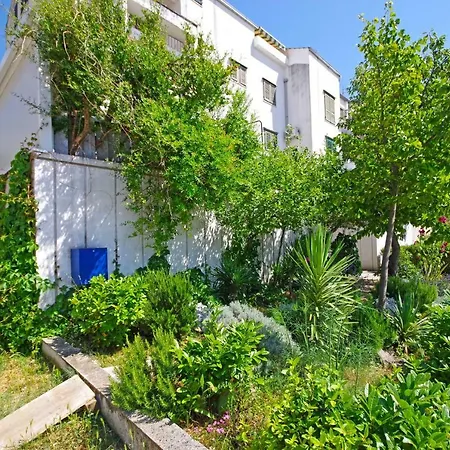 Nugal * マカルスカ